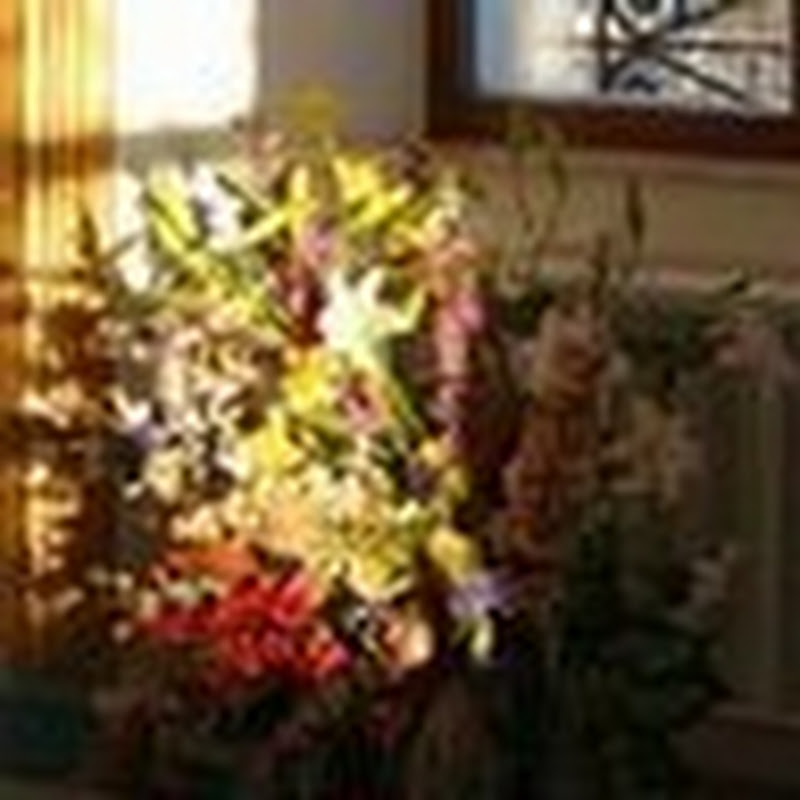 Alexander Kremlev Logo