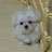 @오뚝이-g4p