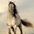 8oXEIfVTE2U-channel-avatar-jona #love