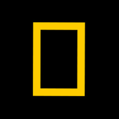 National Geographic Asia channel logo