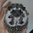 Африканский ежик African hedgehog
