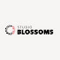 D36in8kLysc-channel-avatar-StudioBlossoms