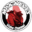 wnYm1JzUW74-channel-avatar-MPA Neves