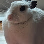 헬스정자