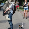 Автор