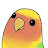 @parrotvlog1608