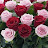 @Lee-wd5xs