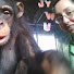 INAH_Rq0gdw-channel-avatar-Aya Katz