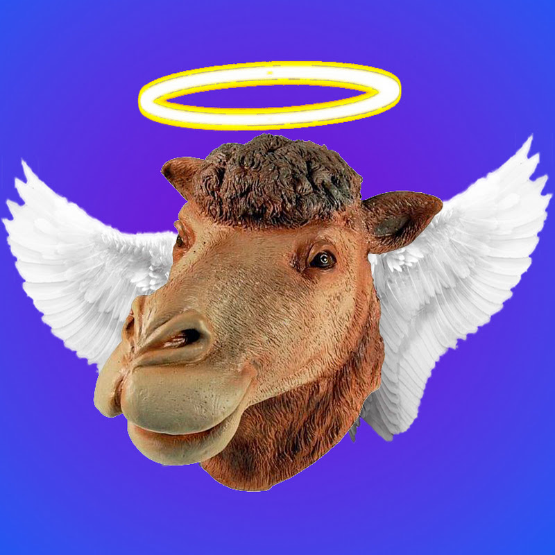 Channel Avatar