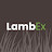 LambEx