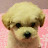 @user-ev5lu5zh9d