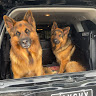 Автор