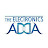 THE ELECTRONICS ADDA
