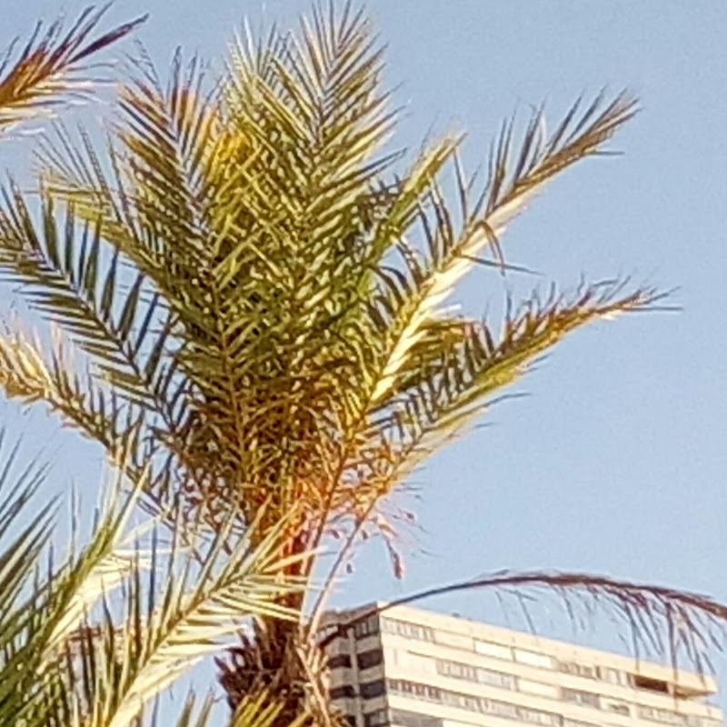 Benidorm Spain