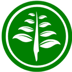Логотип каналу Obat Herbal Alami
