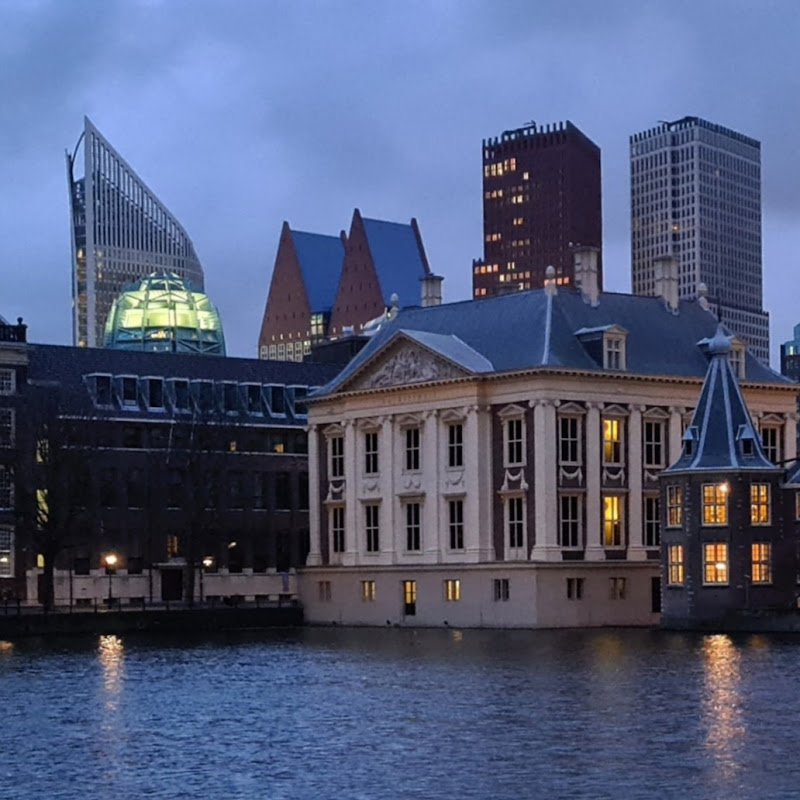 The Hague Today