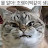 @멀티버스-v1l