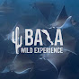bajawildexperience logo