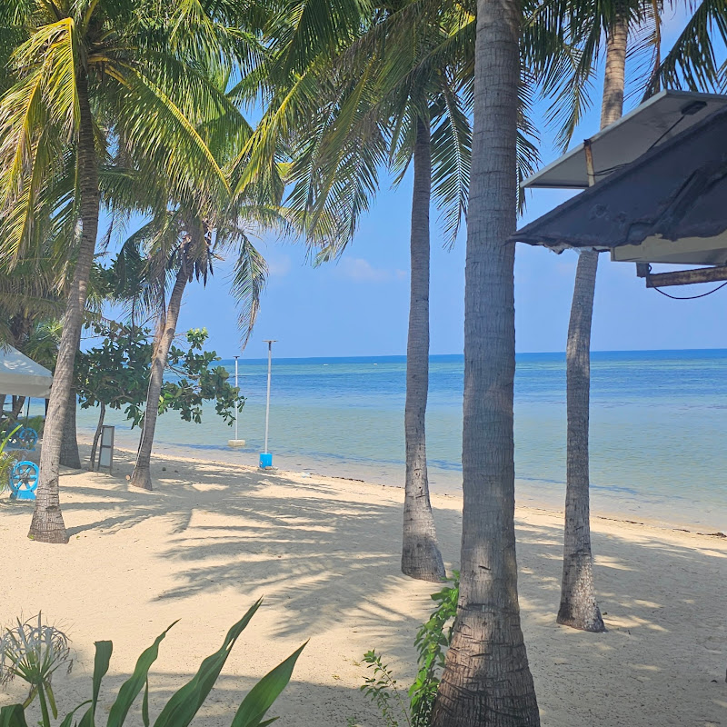 Areo Nature (BEACHES AND ANIMALS)