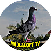 Madla Loft TV