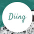 8TUuyp3KauQ-channel-avatar-Diing