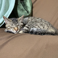 かにえび