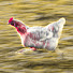 5HQONr0ojdY-channel-avatar-slidan