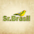 DIbxAcZ9gUg-channel-avatar-Sr. Brasil