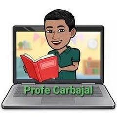 Profe Carbajal net worth