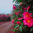 @user-dn6zu8zf2n