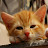 @marcschoeters2229