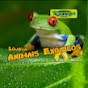 Tortuga PetShop - Animais Exóticos