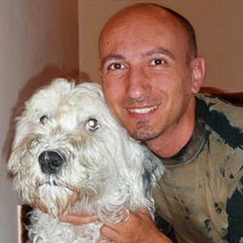 Andrea Cherubin