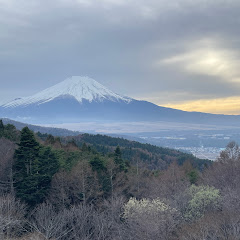 Yamato jp