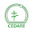 CEDARE ONLINE