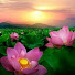 O9W1hKof4f4-channel-avatar-ธรรม รักษาเรา