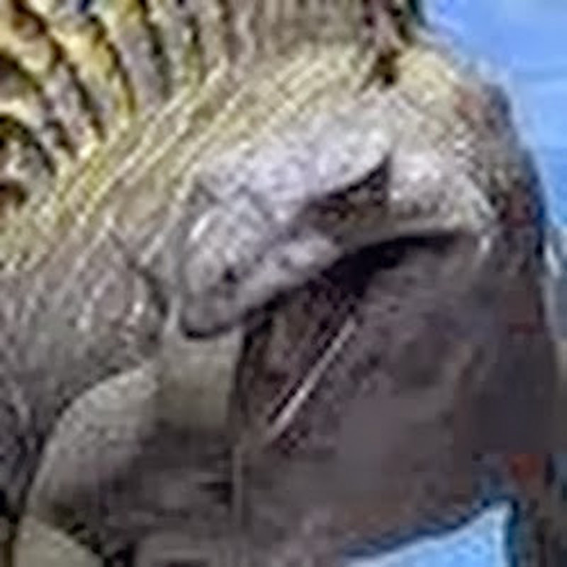 Edaphosaurus
