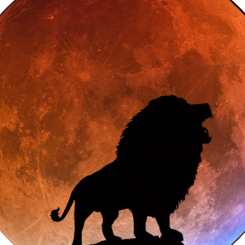 Moonfassa