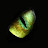 @Dcontrol's avatar