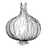 xSI2uxfLxE0-channel-avatar-Worek Cebuli