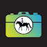 vWEZMeqHwkk-channel-avatar-Virtual Working Equitation
