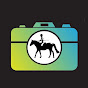 Virtual Working Equitation logo