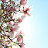 @StarEmpress30 Avatar