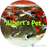 jyS6NfYVTwE-channel-avatar-Albert's Guppy Adventure