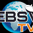 NpbjQ84ncoU-channel-avatar-EBSV TV