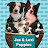 J & L Puppies