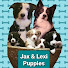 J & L Puppies