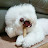 @꾸루-v1o