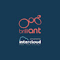 Intercloud Limited logo