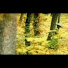 Vot_jKuYR-Q-channel-avatar-SharpeFilms